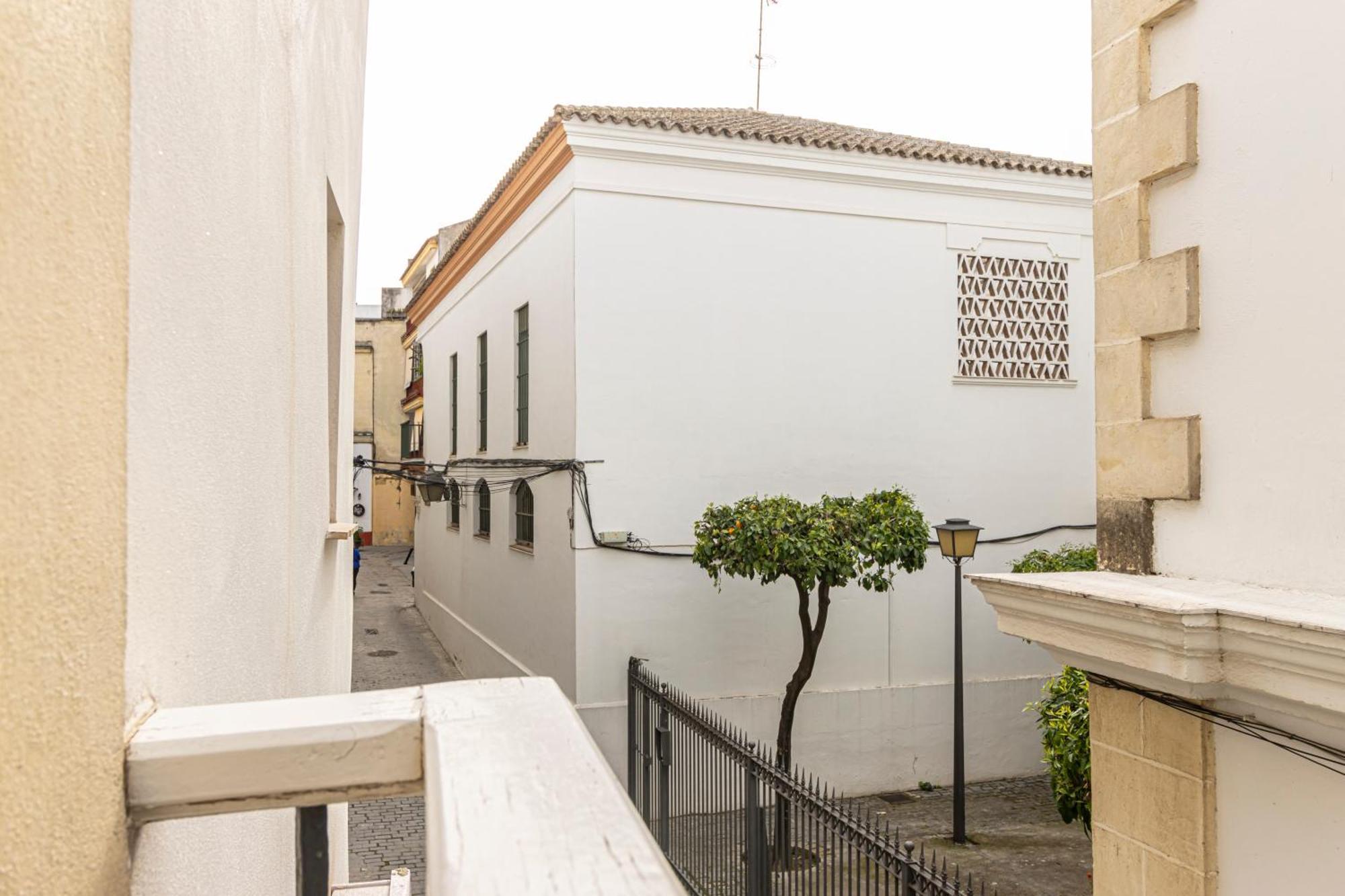 Entre Bodegas Jerez *